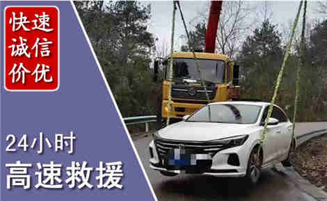 阳新高速公路救援场景与案例